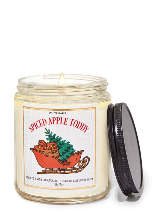 Spiced Apple Toddy